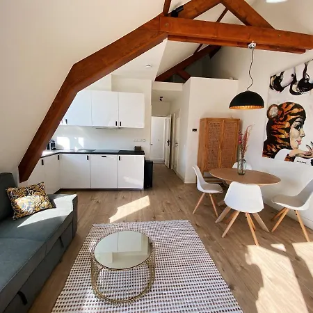 Luxurious Historical Loft Close To The Beach!!